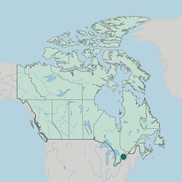 Map showing Belleville — In Canada