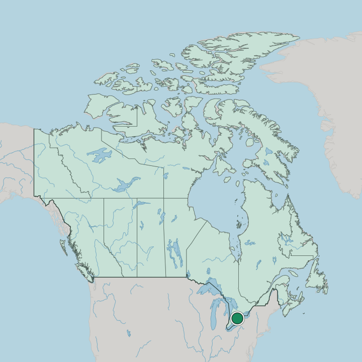 Map showing Hamilton — In Canada