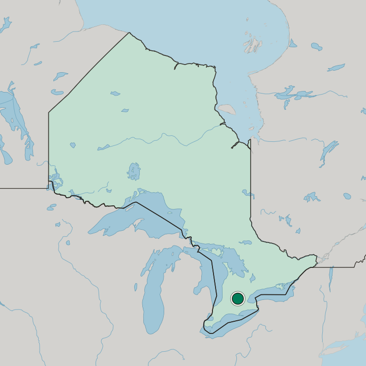 Map showing Kitchener — In Ontario