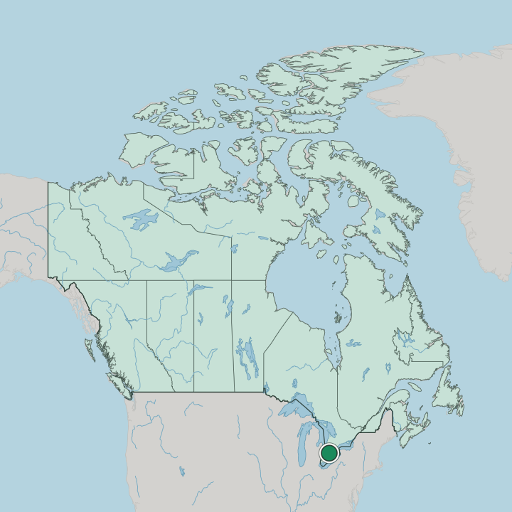 Map showing London — In Canada