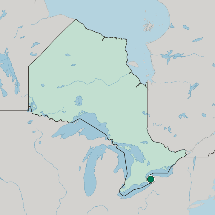 Map showing Niagara Falls — In Ontario