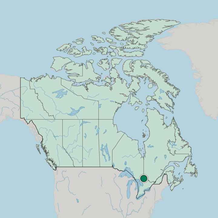 Map showing North Bay — In Canada