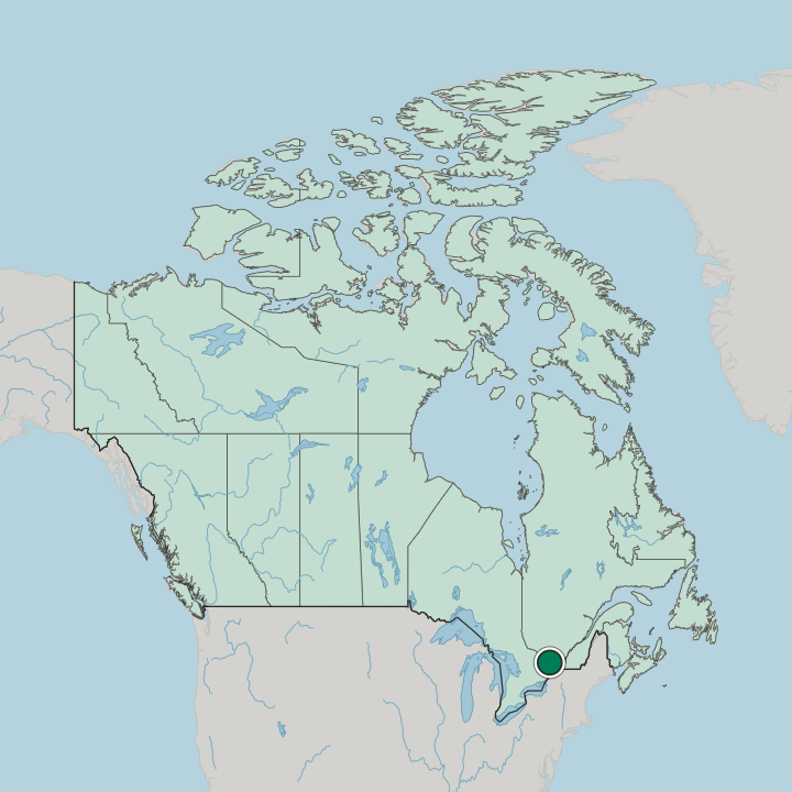 Map showing Kanata — In Canada