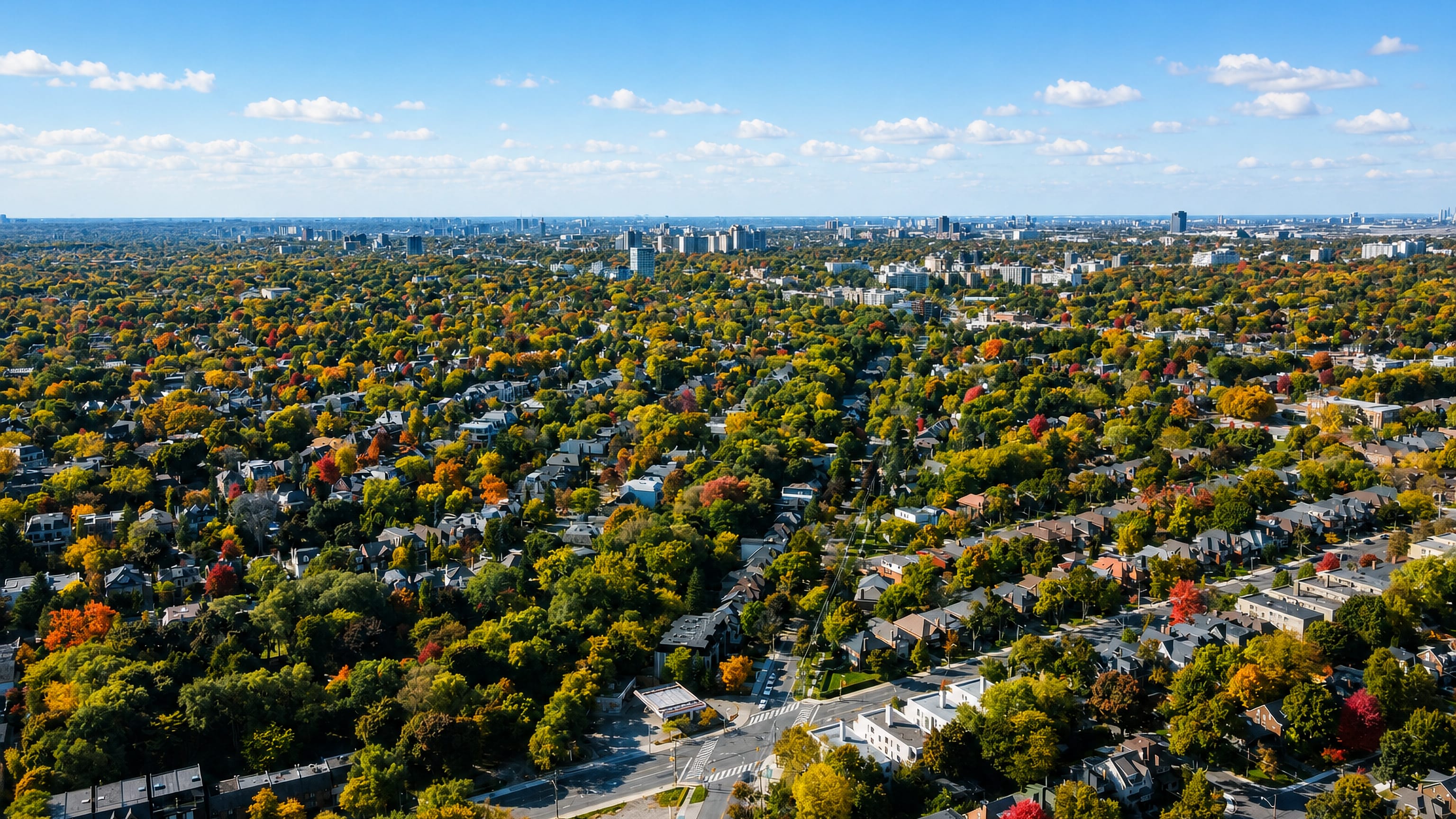 Aerial over Forest Hill's tree-lined streets and large homes in Toronto in autumn colour, towers beyond.