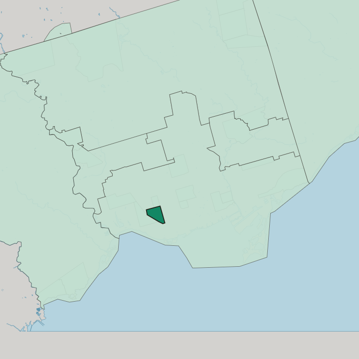 Map showing Little Portugal — In Toronto