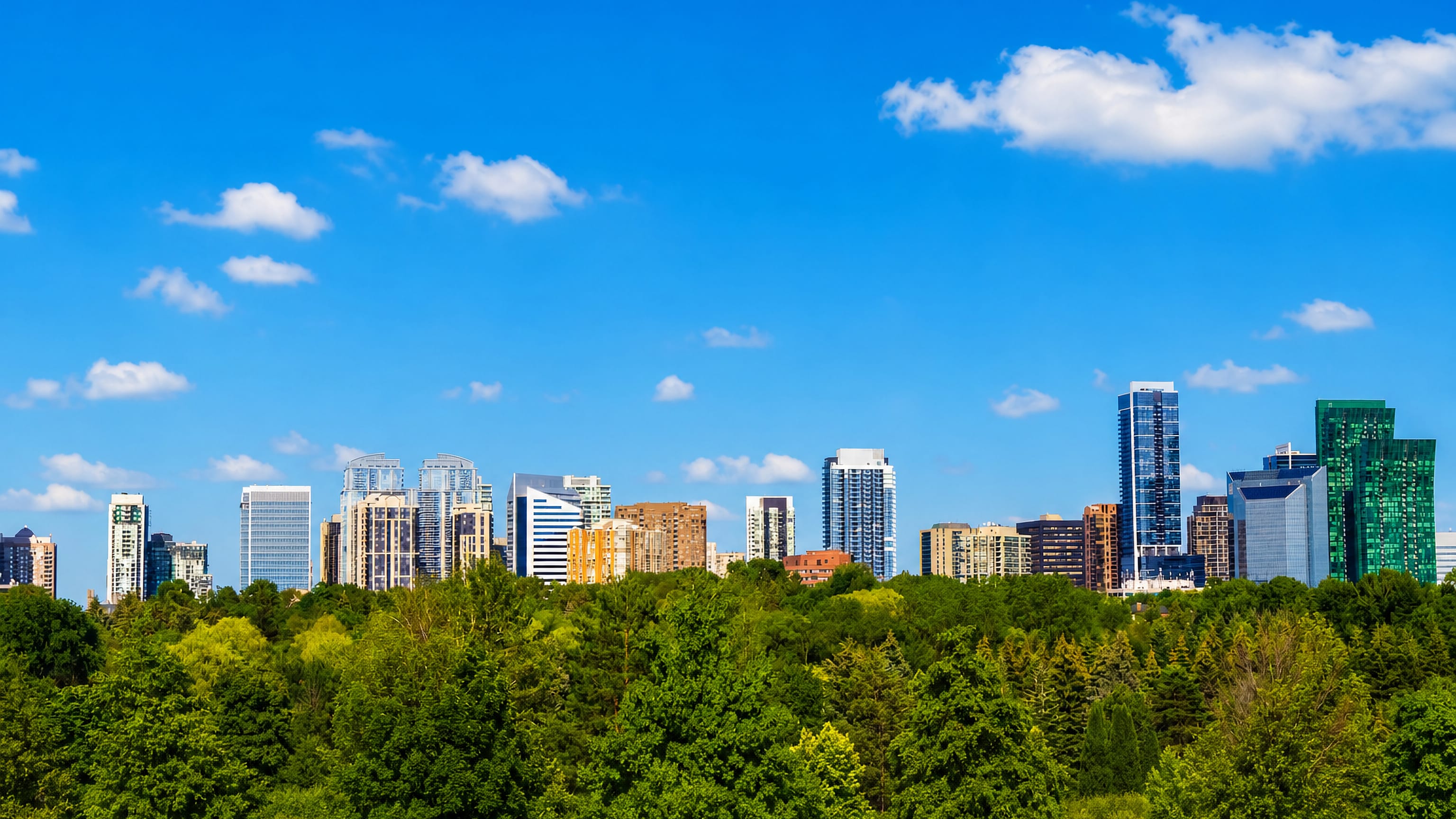 North York's cluster of highrise towers rising above a dense green tree canopy in Toronto under blue sky.