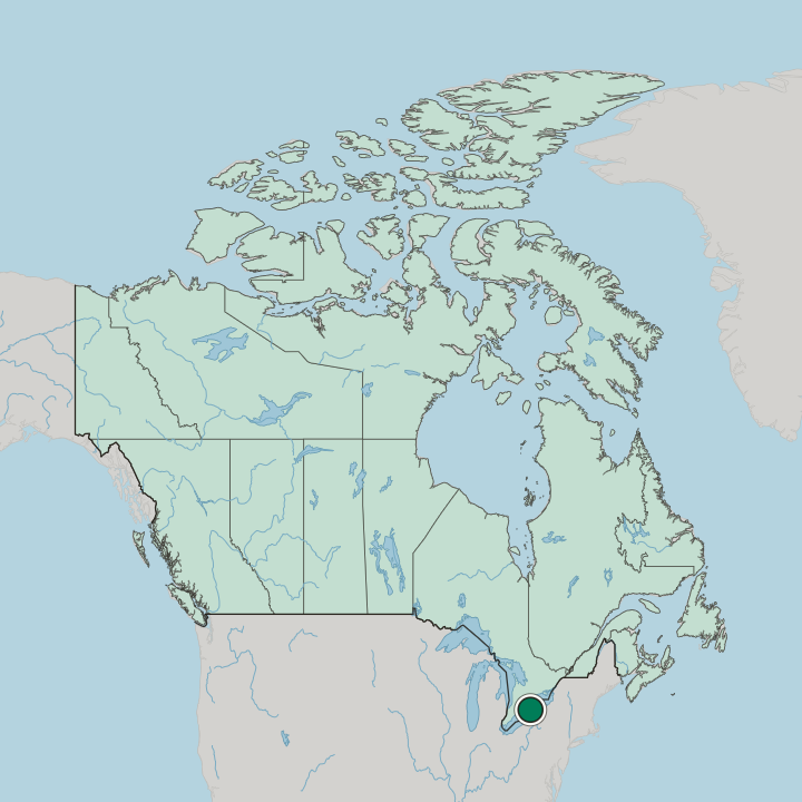 Map showing Welland — In Canada