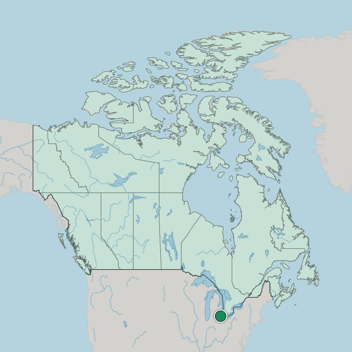Map showing Windsor — In Canada