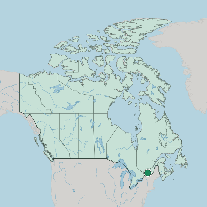 Map showing Montréal — In Canada