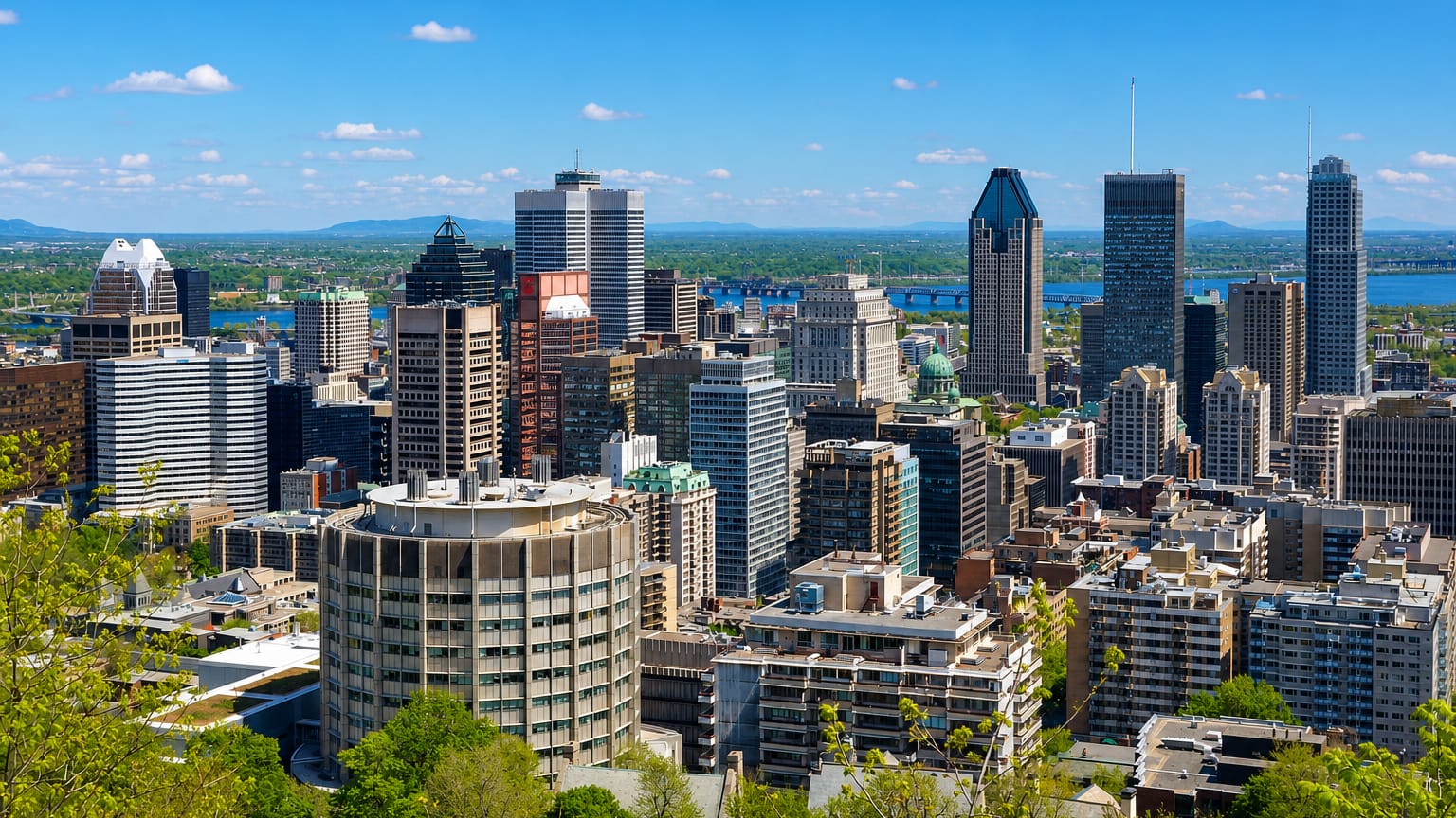 Downtown Montréal high-rise skyline viewed from Mount Royal with the St. Lawrence River behind under a clear sky.