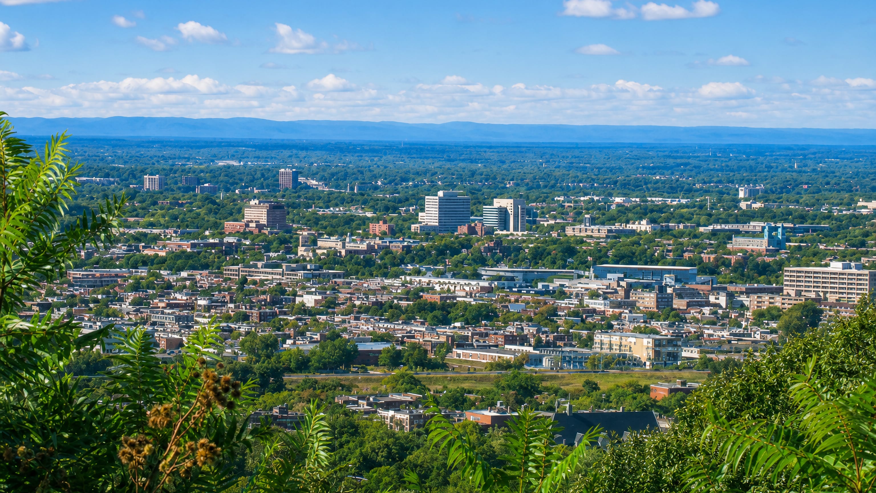 Wide view over Parc-Extension in Montréal, low-rise streets and mid-rise blocks with distant hills.