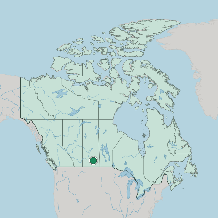 Map showing Regina — In Canada