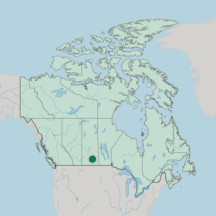 Map showing Regina — In Canada