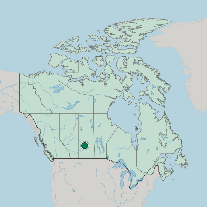 Map showing Saskatoon — In Canada
