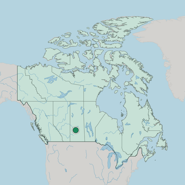 Map showing Saskatoon — In Canada