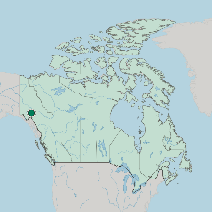 Map showing Whitehorse — In Canada