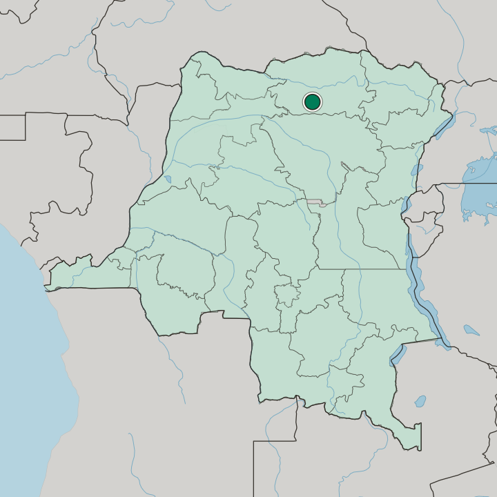 Map showing Buta — In Democratic Republic of the Congo