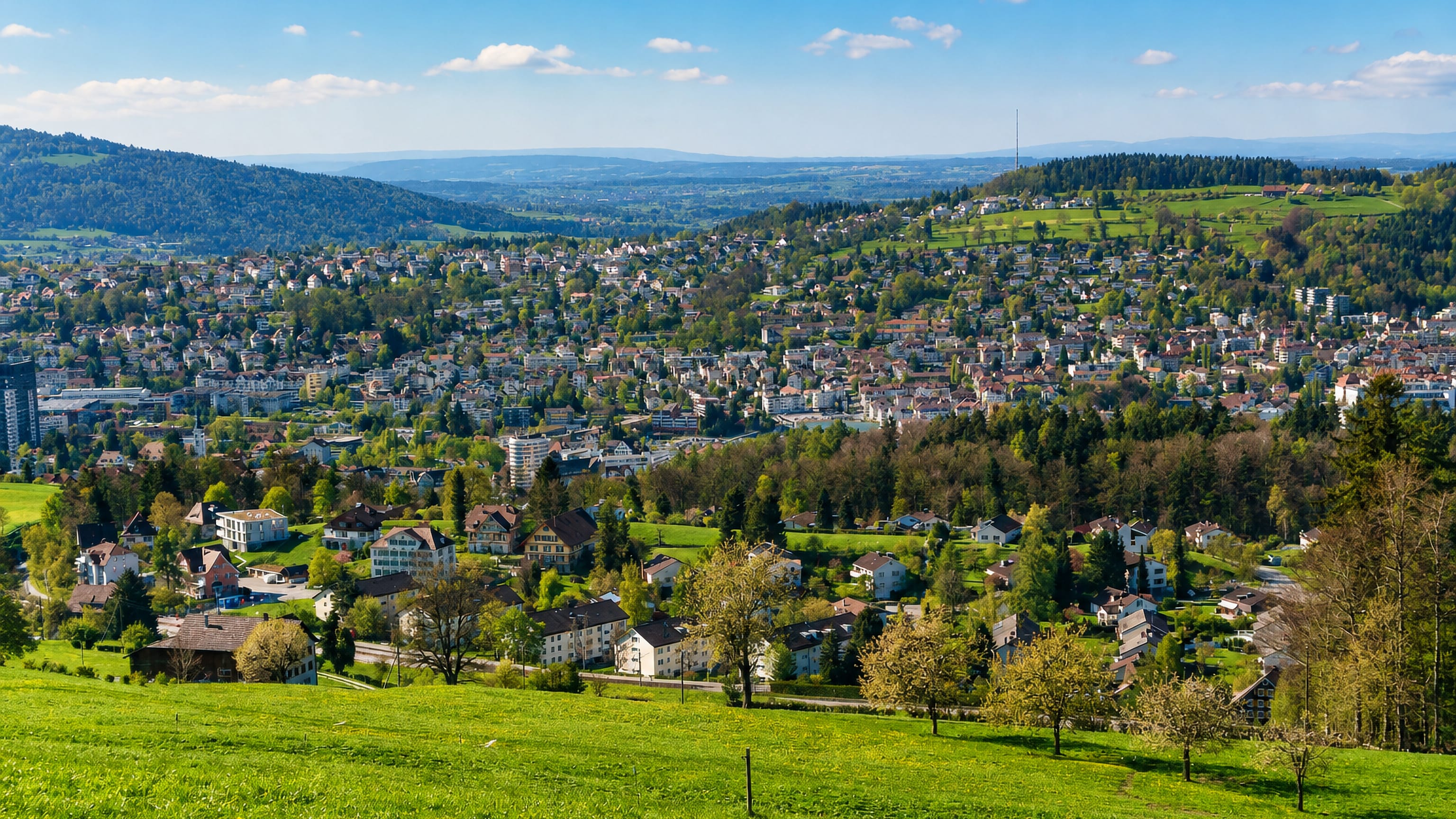 Hillside meadow above Rotmonten looking across the St. Gallen valley to hillside houses and forested ridges.