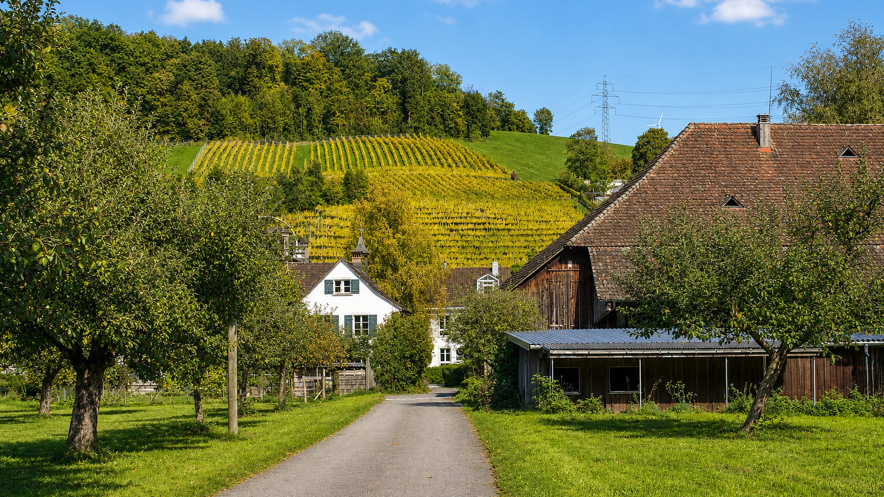 Vineyard slope above an orchard and timber farmhouse at Wülflingen-Weinberg on the edge of Winterthur.
