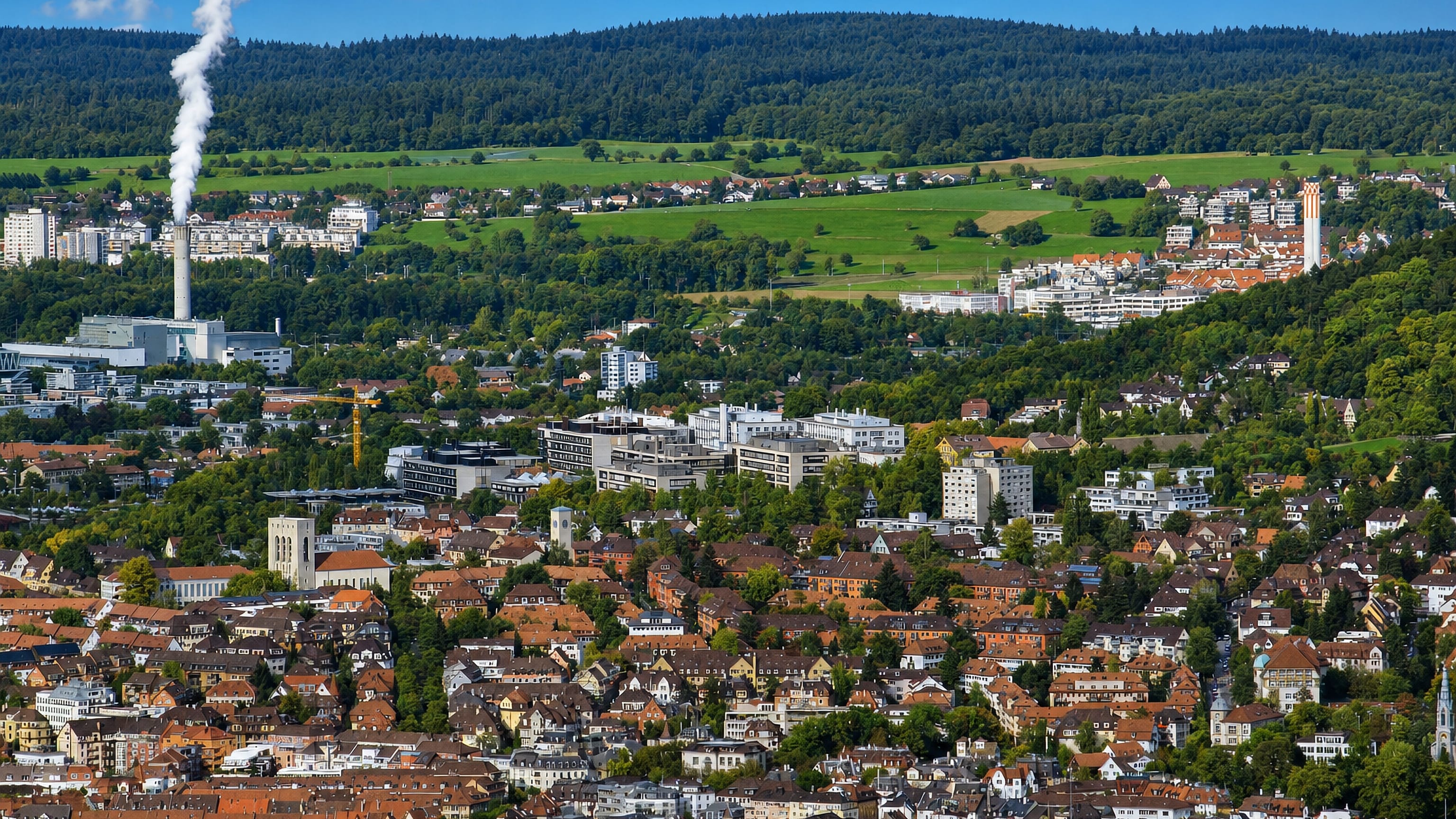 Zürich's Kreis 6 (Oberstrass) from above: tiled rooftops climbing the Zürichberg toward forest and pasture.