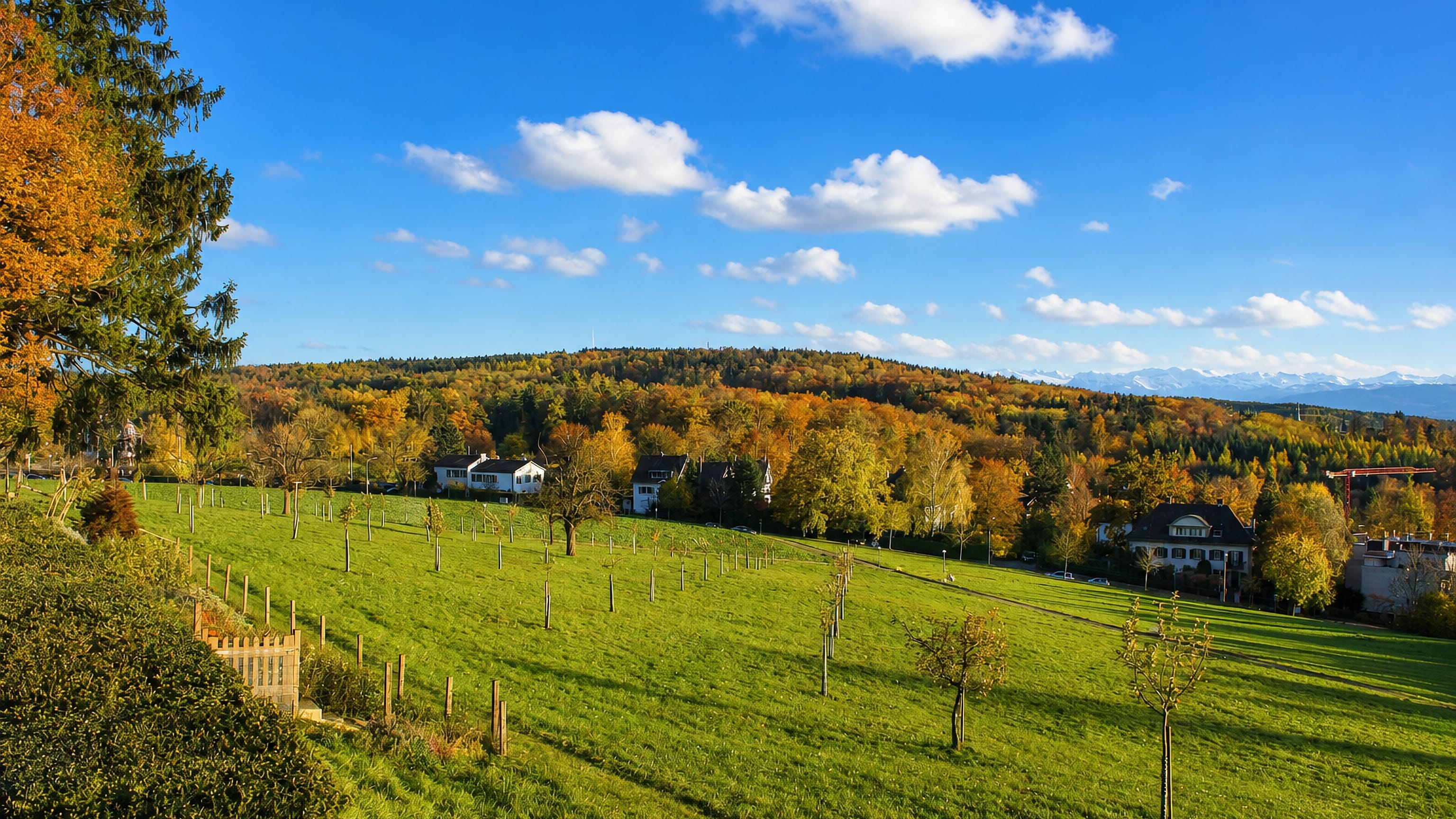 Autumn meadow and orchard on the Zurichberg slope above Fluntern, Zurich, with the Alps on the horizon