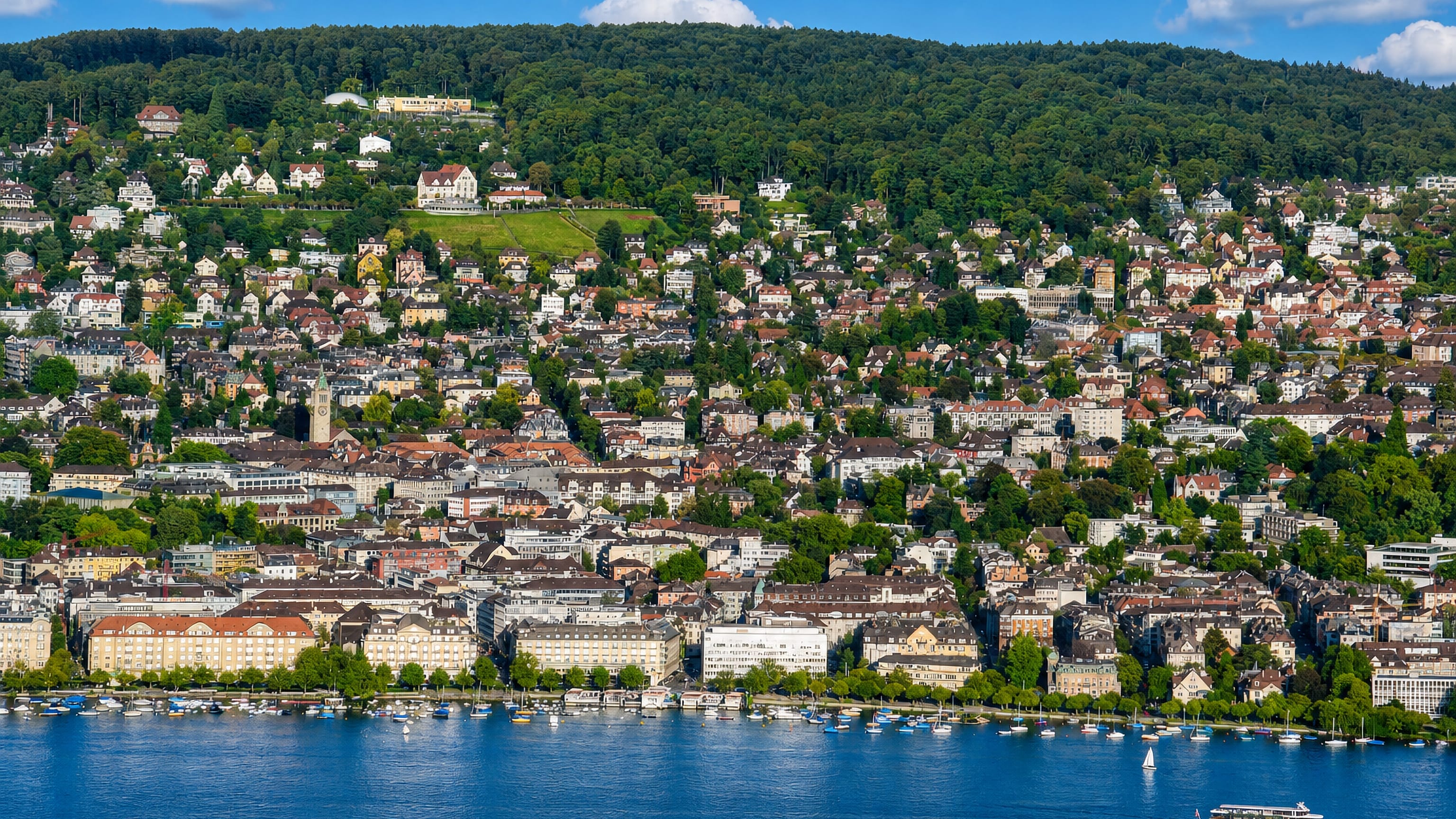 Hillside houses of Zürich's Kreis 7 rising to the wooded Zürichberg above the boat-dotted lake.