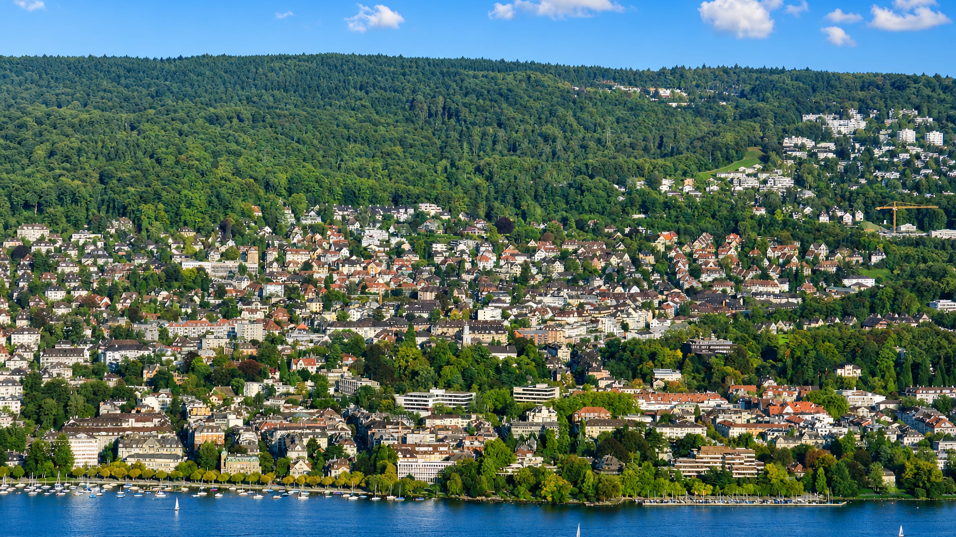 Villas and wooded slopes rising above Lake Zurich's sailing moorings at Seefeld, Zürich Kreis 8.