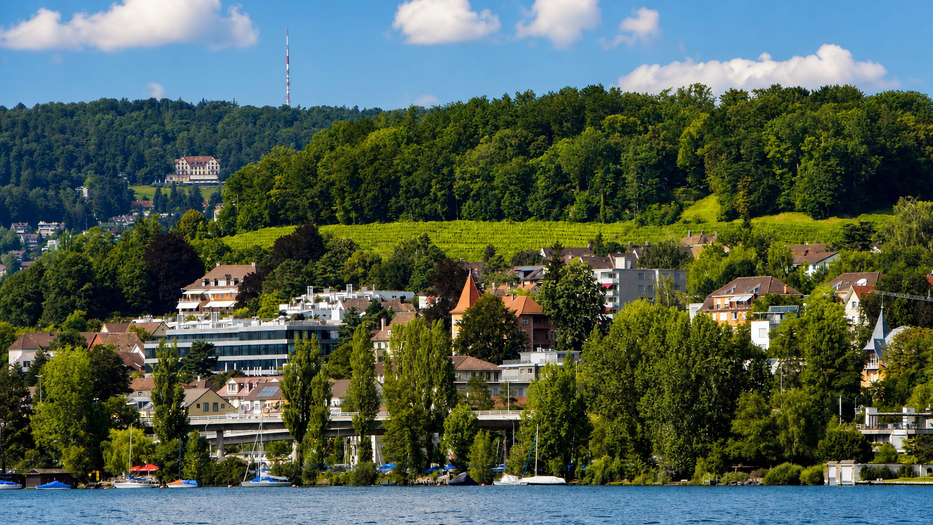 Lake Zurich shoreline below the wooded, vine-terraced slope of the Weinegg area in Zurich's Kreis 8.