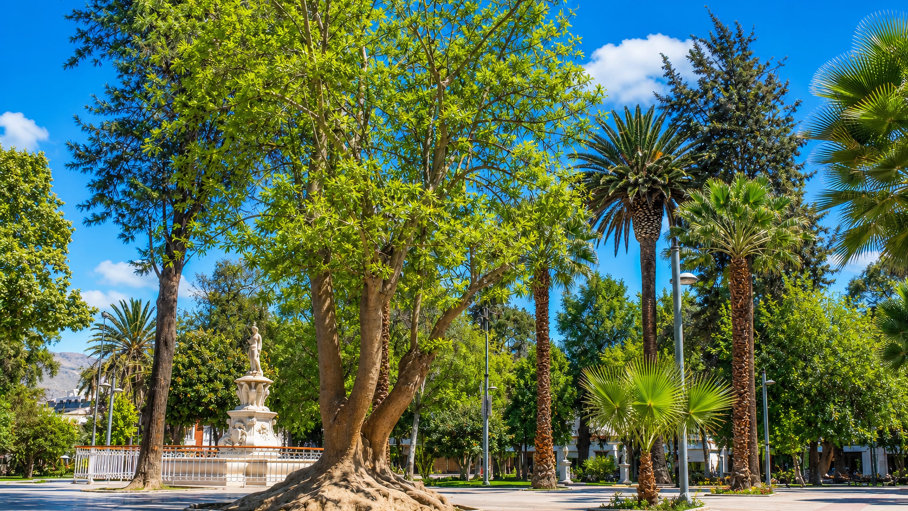 Pepper trees, palms and a marble fountain statue in Copiapo's Plaza de Armas, with desert hills beyond.