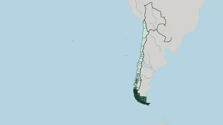 Map of Región de Magallanes y Antártica Chilena in Chile
