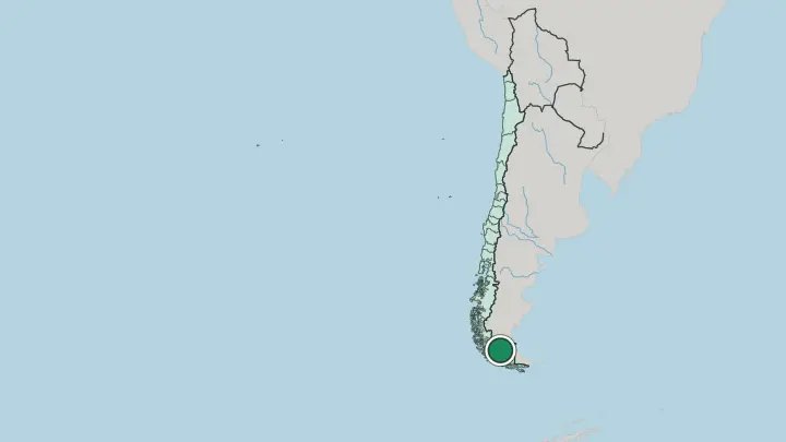 Map of Punta Arenas in Chile