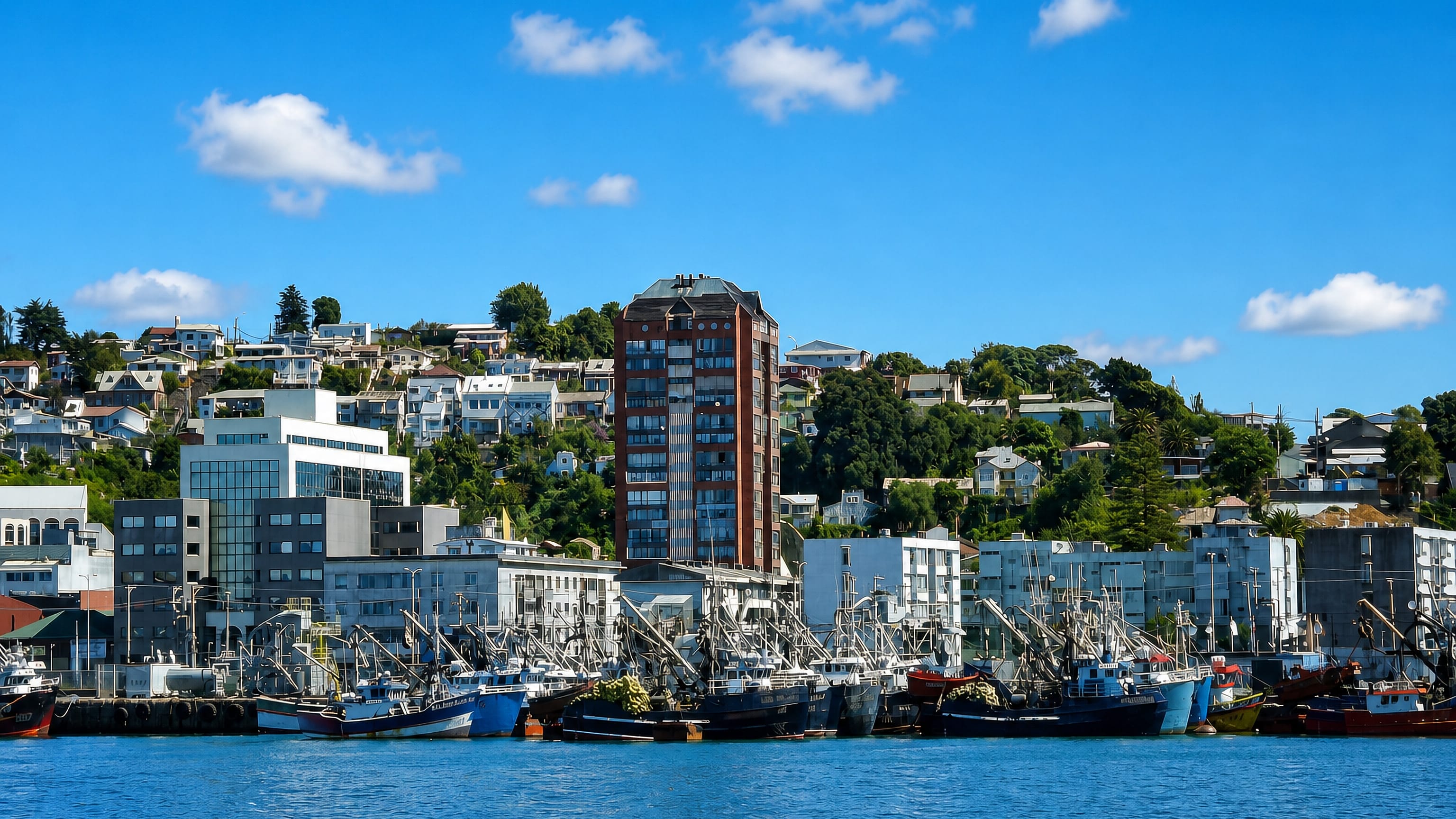 Fishing fleet moored below hillside houses on the waterfront of Talcahuano, Chile