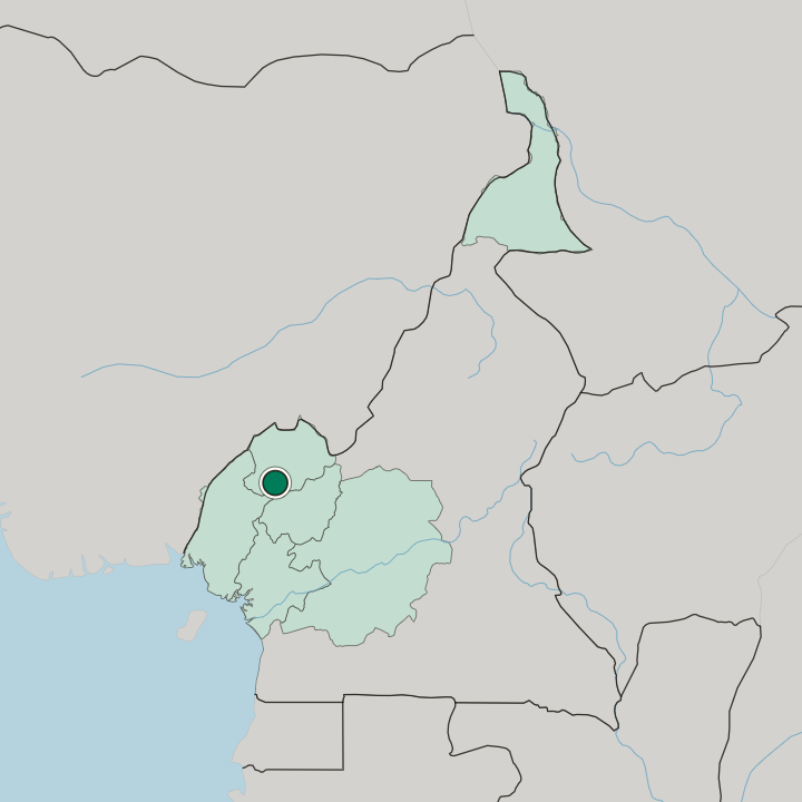 Map showing Bamenda — In Cameroon