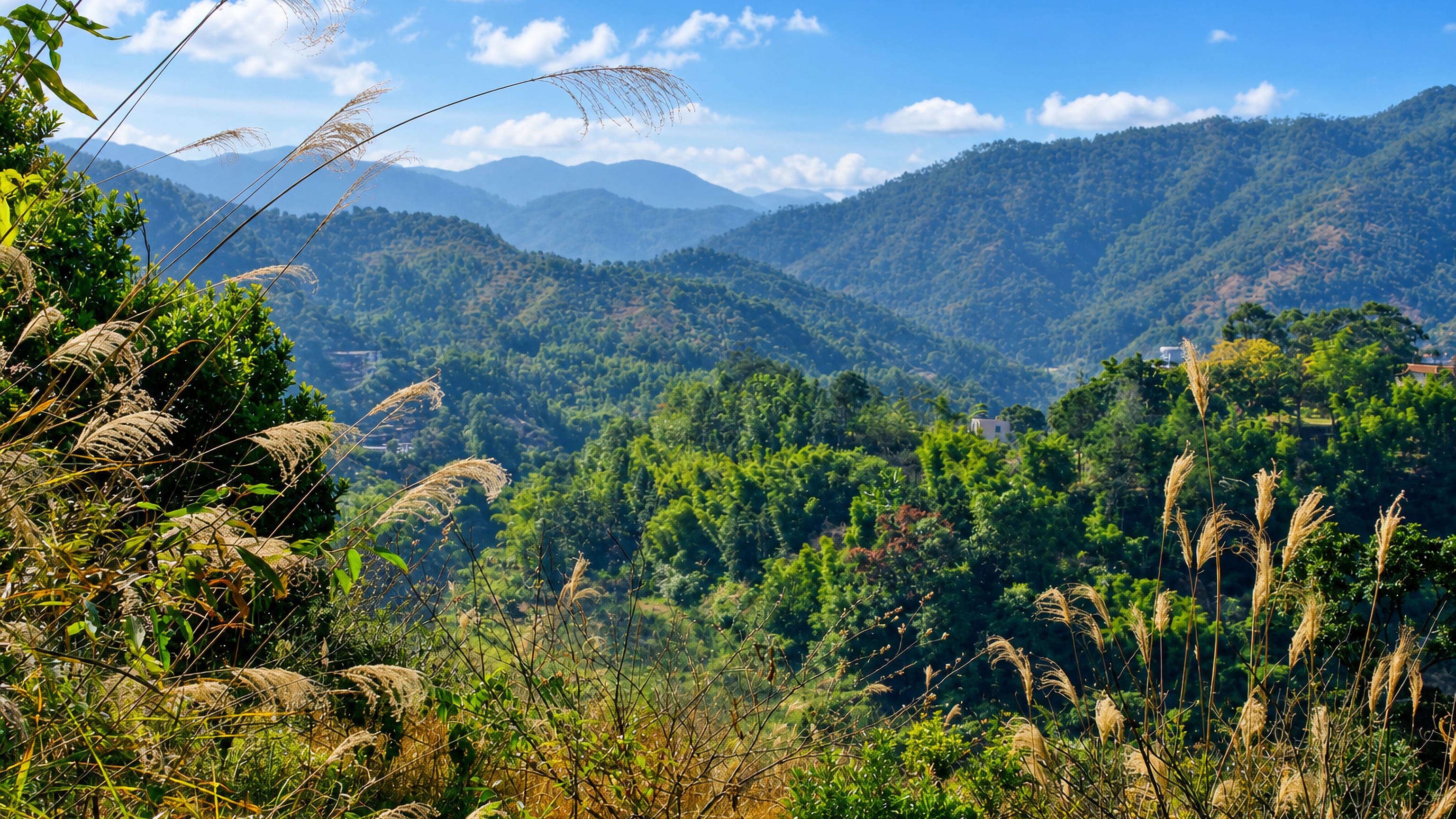 Forested hills and plumed grasses above scattered white houses in Conghua District, Guangzhou.