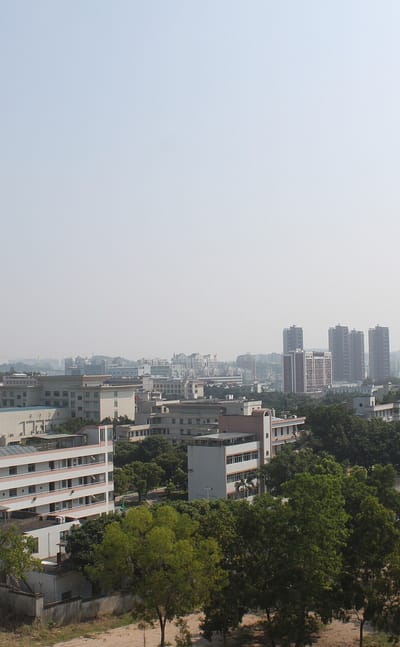 Longhua District