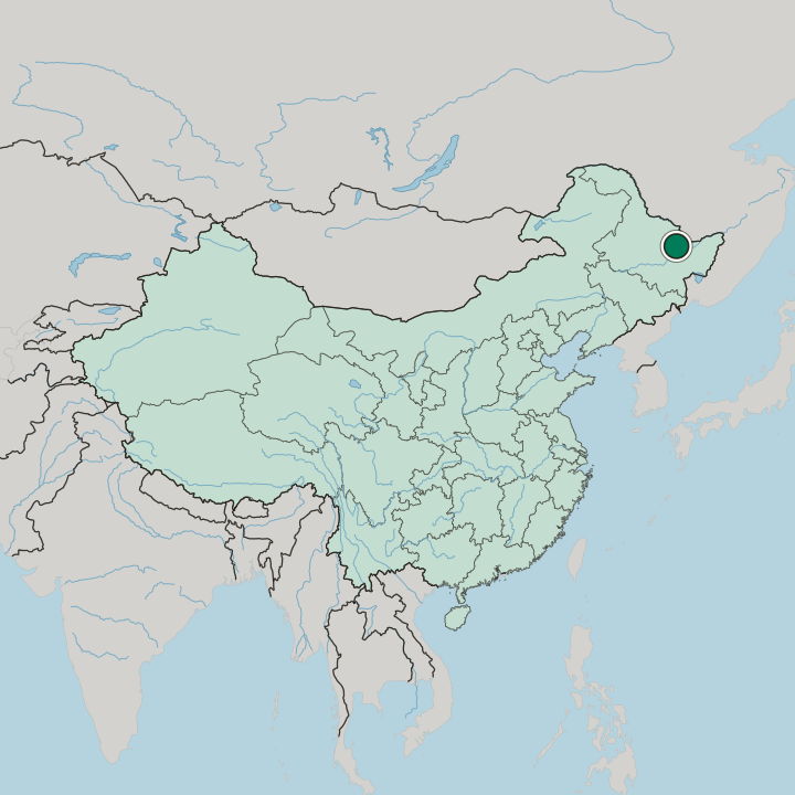 Map showing Hegang — In China