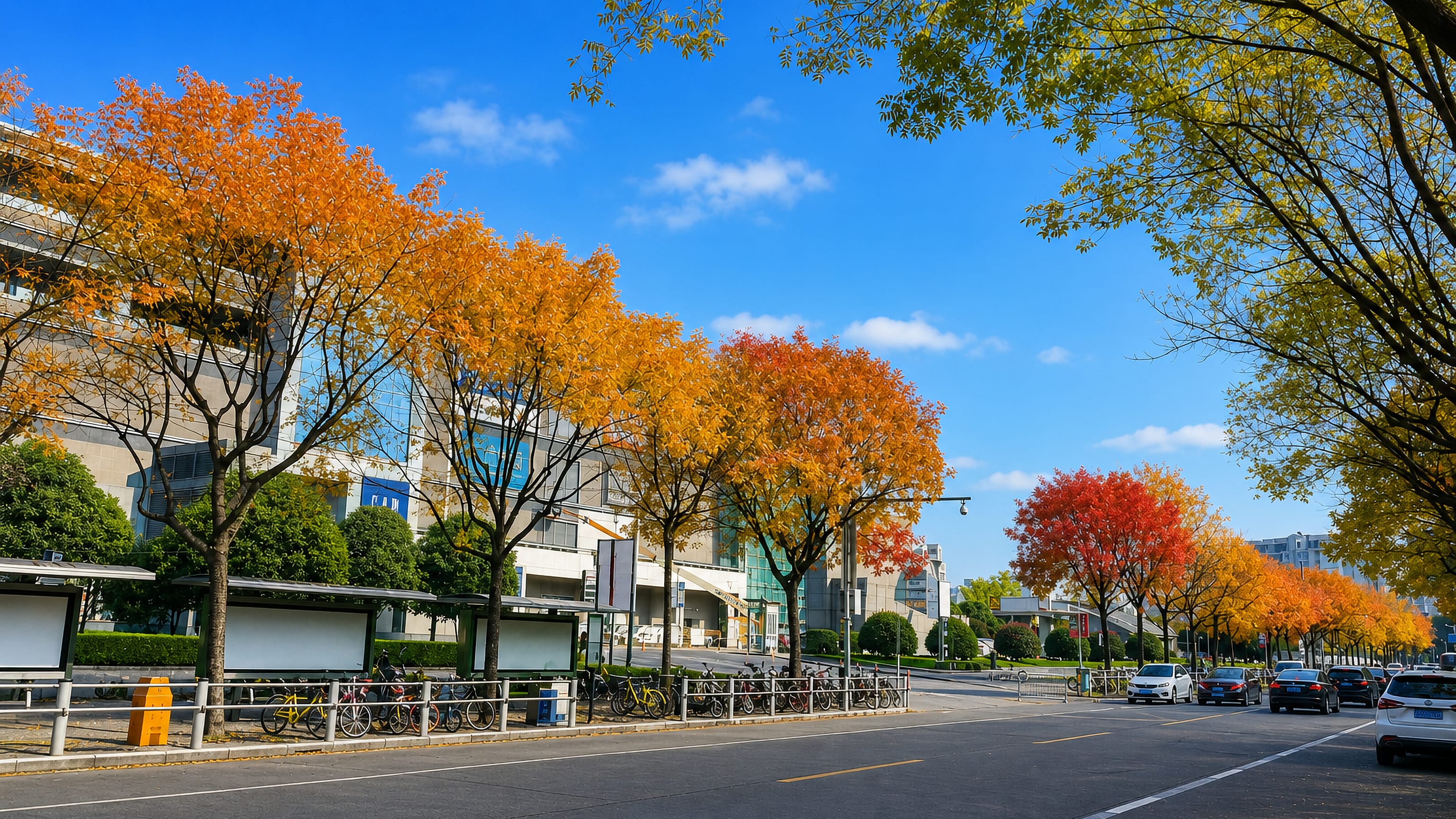 Tree-lined boulevard in Minhang District, Shanghai, in autumn colour beside a modern glass office complex
