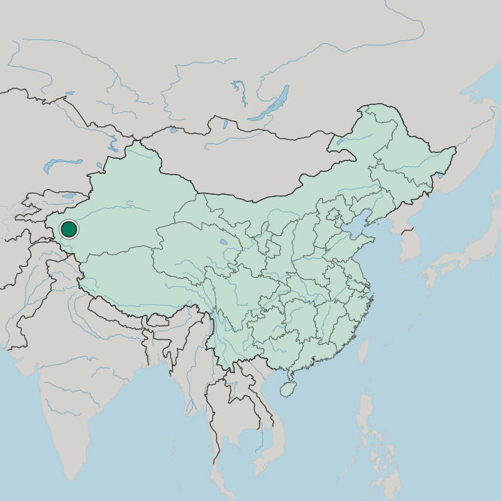 Map showing Shache — In China