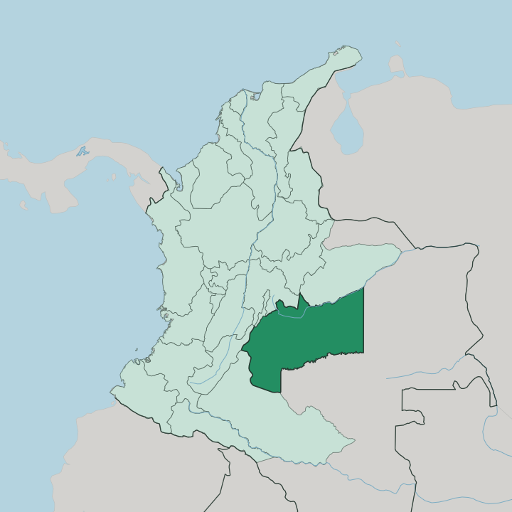 Map showing Departamento del Meta — In Colombia