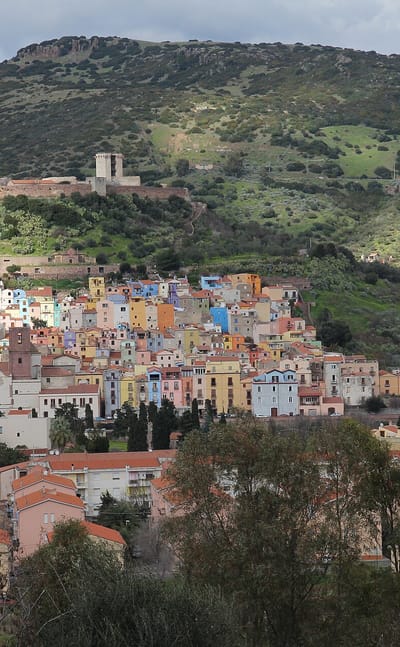 Bosa