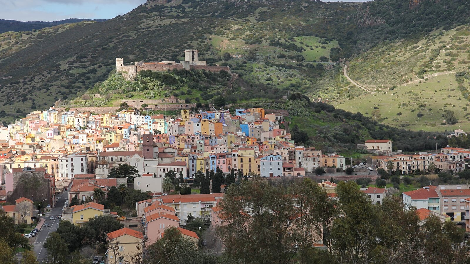 Bosa