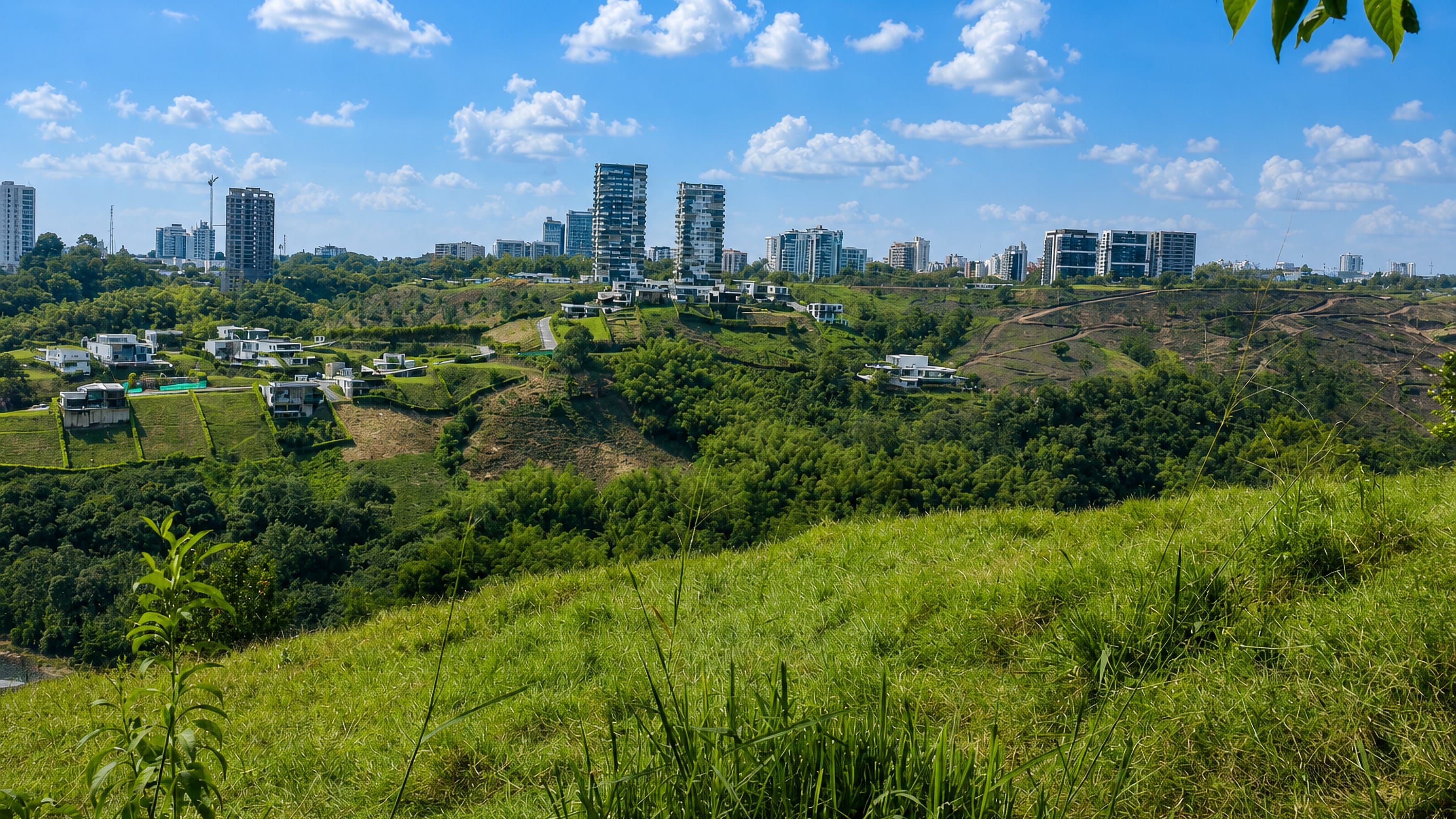 Modern high-rise towers of Armenia, Colombia, above the green hillsides and bamboo forests of Quindío