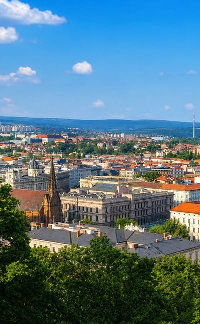 Elevated view over Brno's rooftops and church spires with wooded hills beyond, framed by chestnut trees.