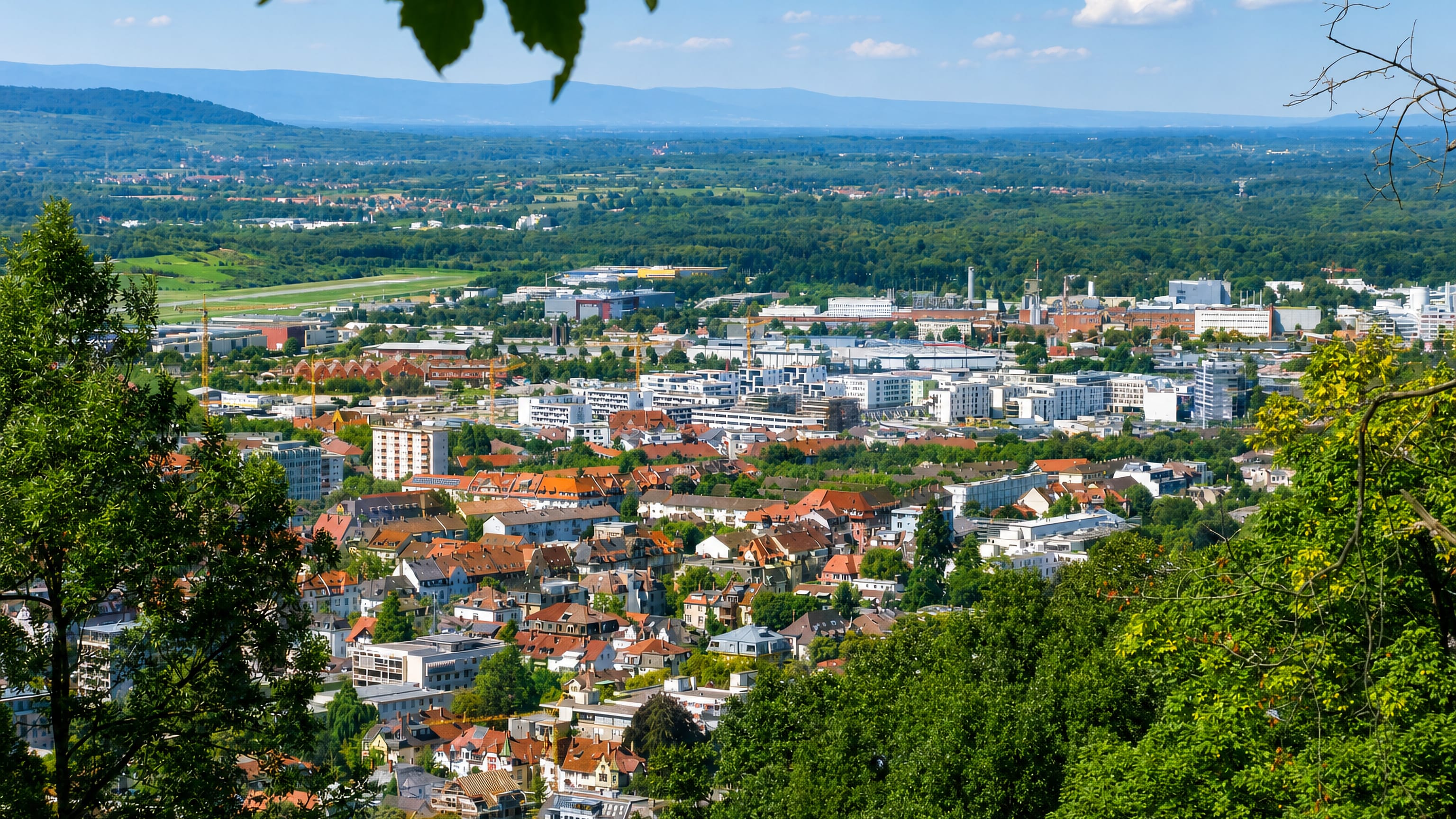 Panorama over Freiburg's rooftops and the Rhine plain seen from the wooded slope above Herdern