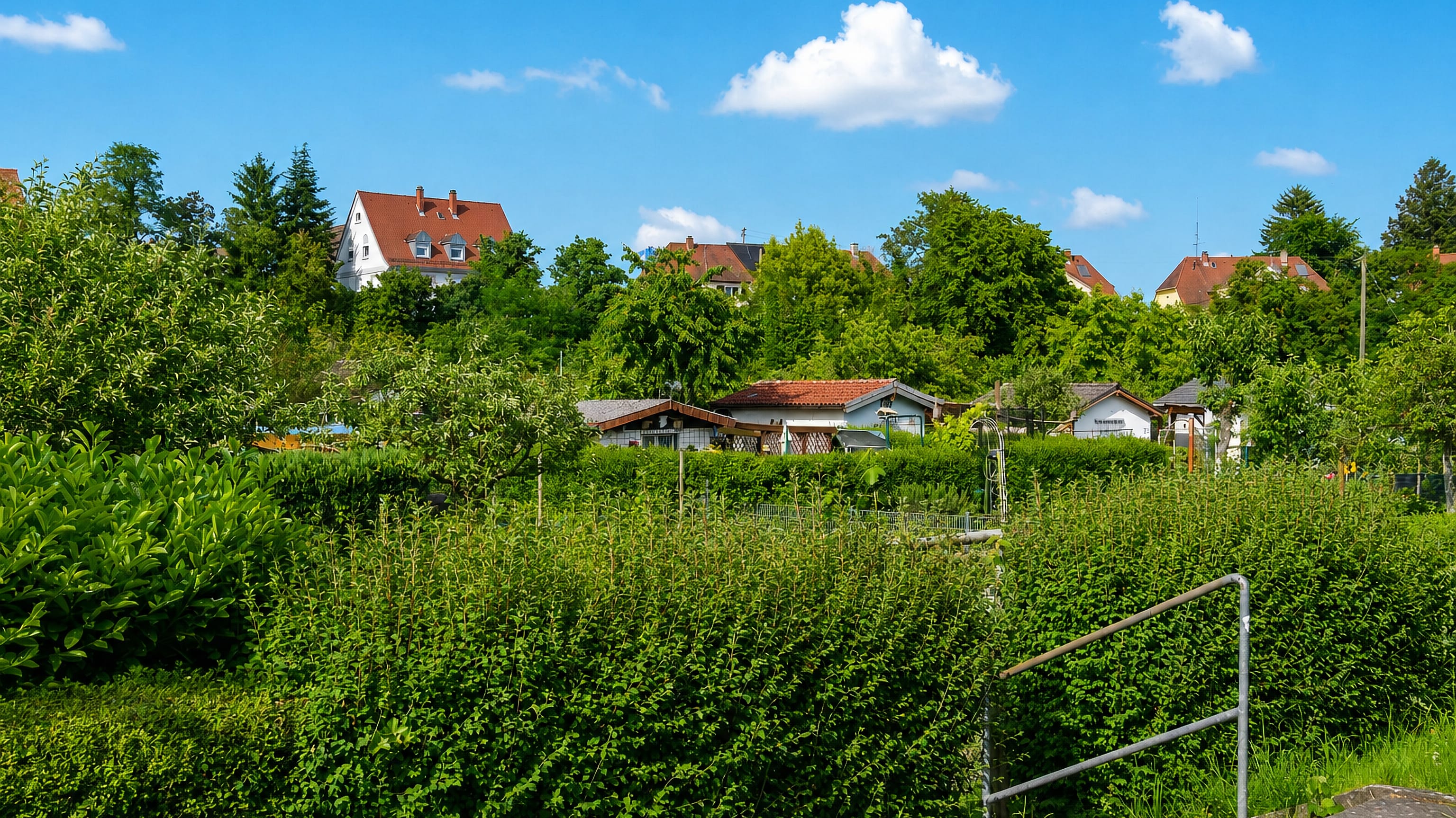 Allotment hedges and garden plots below the tiled rooftops of Grunwinkel, a western district of Karlsruhe.