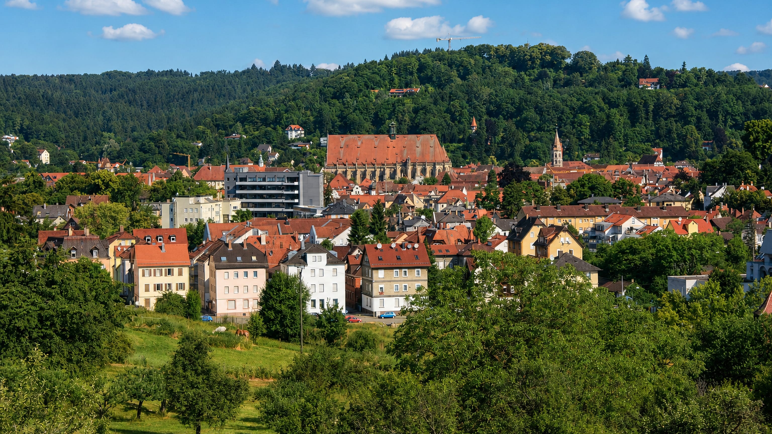 Schwäbisch Gmünd in its wooded valley, the Holy Cross Minster's long red roof rising above the rooftops.