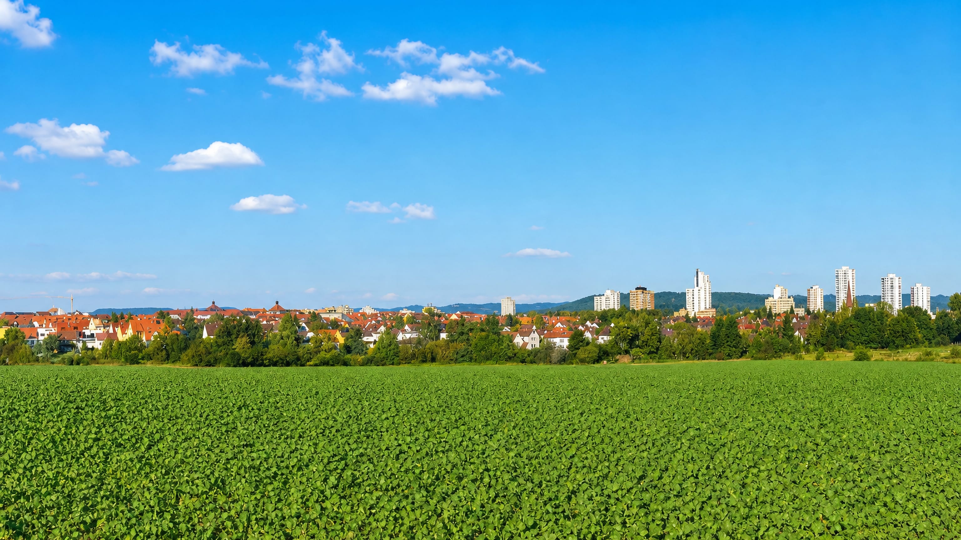 Green field in front of the rooftops and white tower blocks of Büchenbach, a district of Erlangen.