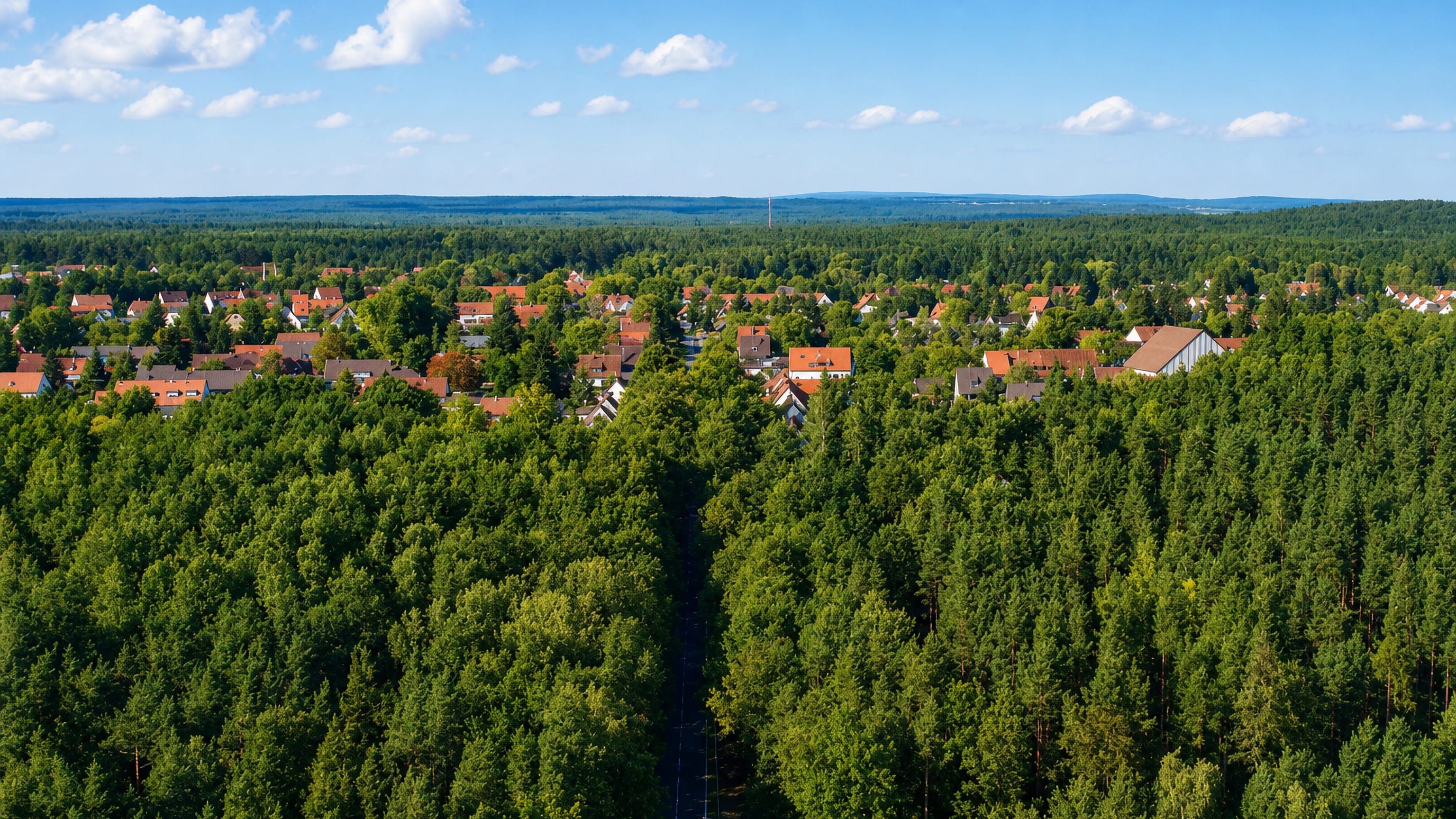 Aerial of Buchenbuhl's red-roofed houses ringed by the pine forest of the Nuremberg Reichswald.