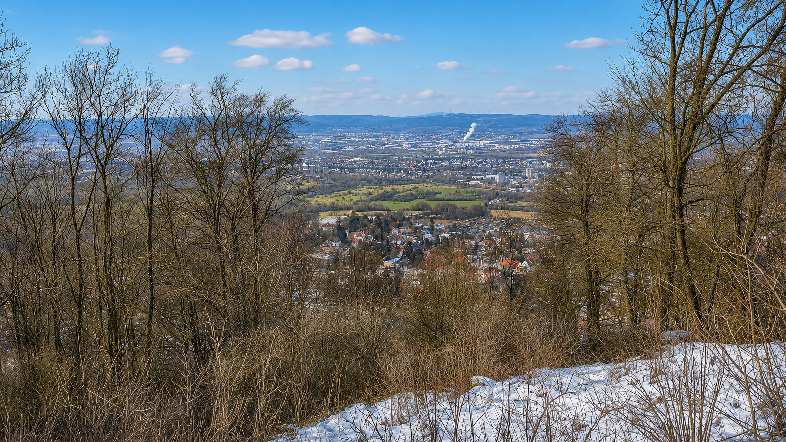 Winter view over Kassel from the wooded slopes of Brasselsberg, with bare trees framing the city below.