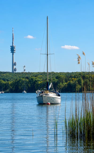 Sailboats on the Havel lake at Kladow, Berlin, with reeds in the foreground and a telecom tower on the wooded far shore